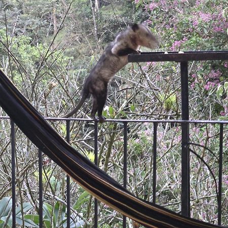 El Valle De Anton La Chachalaca المظهر الخارجي الصورة