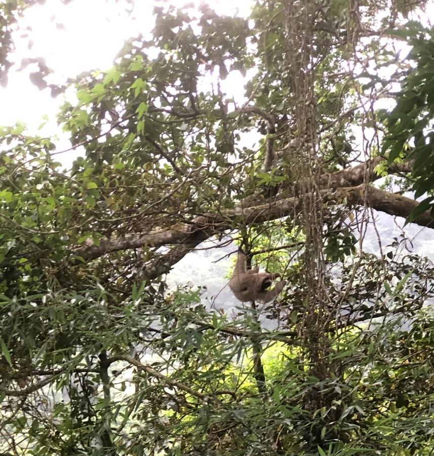 El Valle De Anton La Chachalaca المظهر الخارجي الصورة