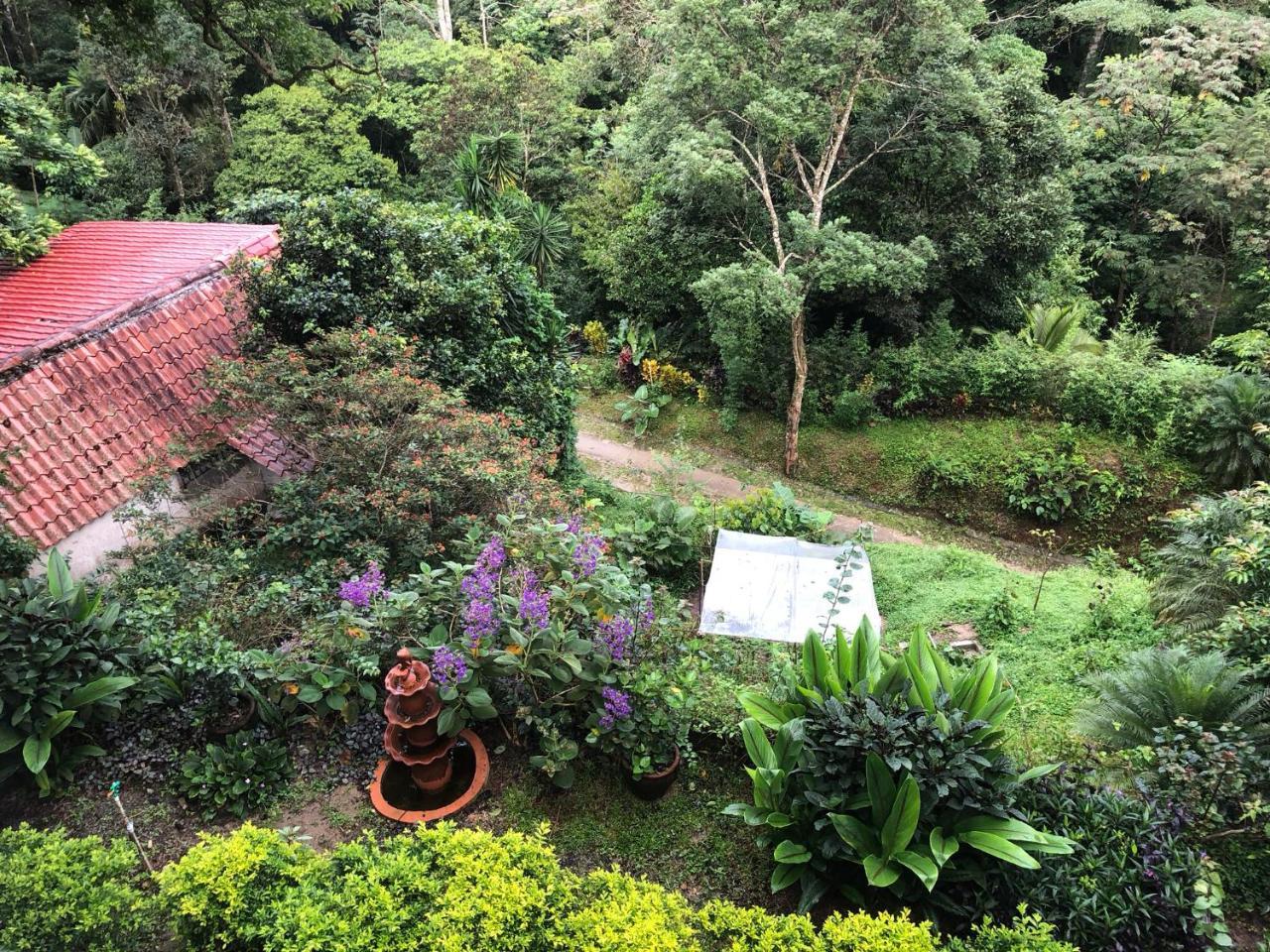 El Valle De Anton La Chachalaca المظهر الخارجي الصورة