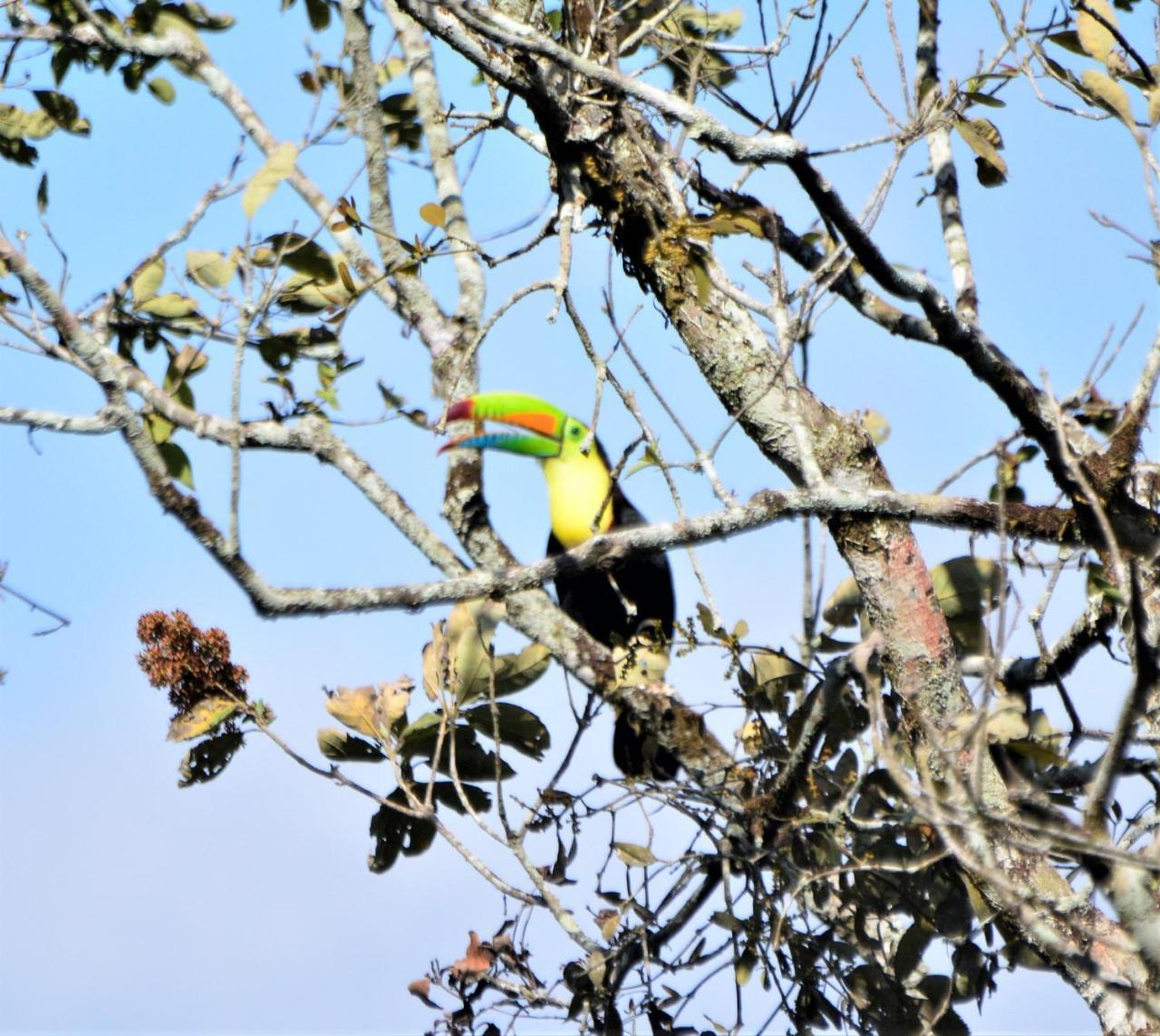 El Valle De Anton La Chachalaca المظهر الخارجي الصورة