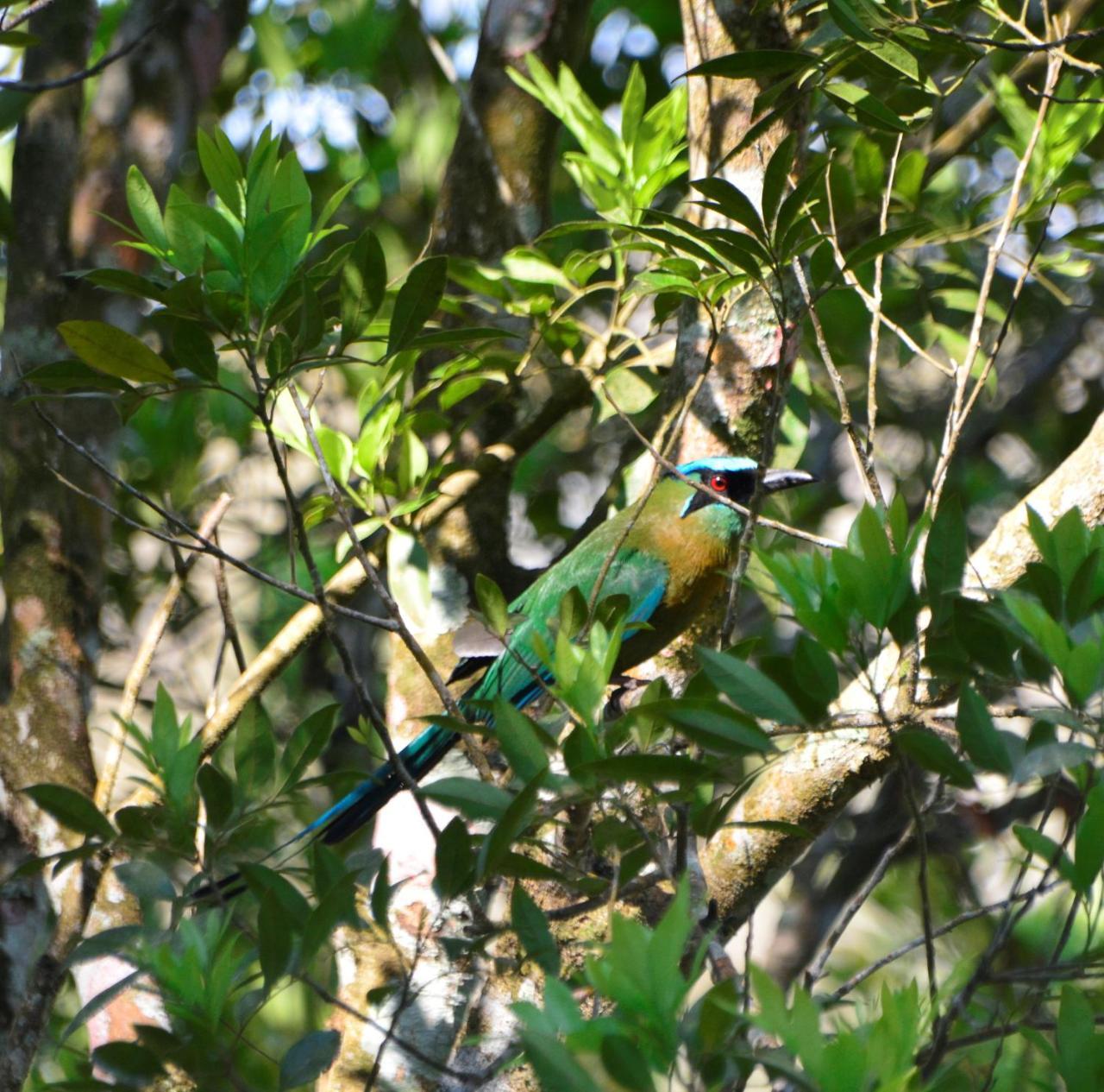 El Valle De Anton La Chachalaca المظهر الخارجي الصورة