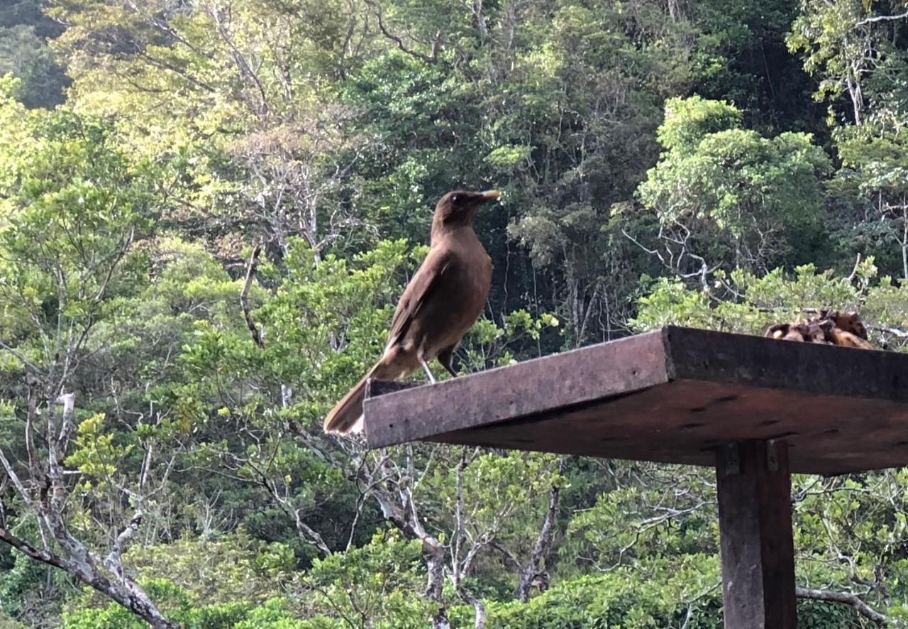 El Valle De Anton La Chachalaca المظهر الخارجي الصورة